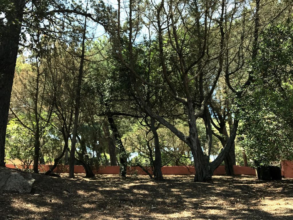 Villa Mica La Maddalena  Kültér fotó