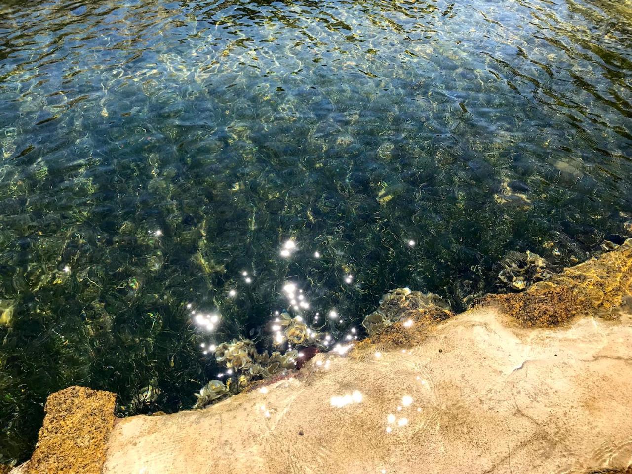 Villa Mica La Maddalena  Kültér fotó